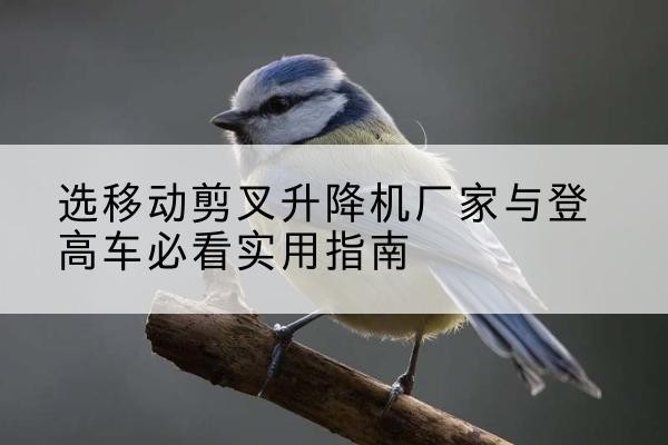 崂山电动升降机厂家-选移动剪叉升降机厂家与登高车必看实用指南