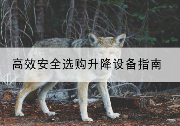 崂山升降货梯厂家推荐-*安全选购升降设备指南