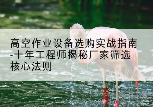 崂山剪叉式升降机厂家-高空作业设备选购实战指南-十年工程师揭秘厂家筛选核心法则